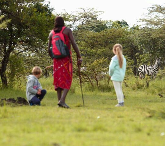 Join the Maasai on walking safaris