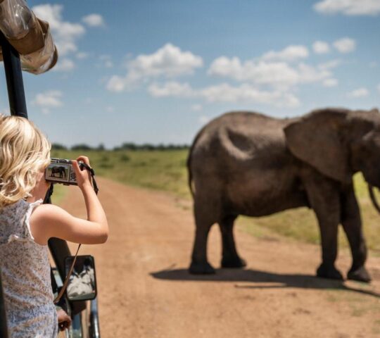 Enjoy private game drives