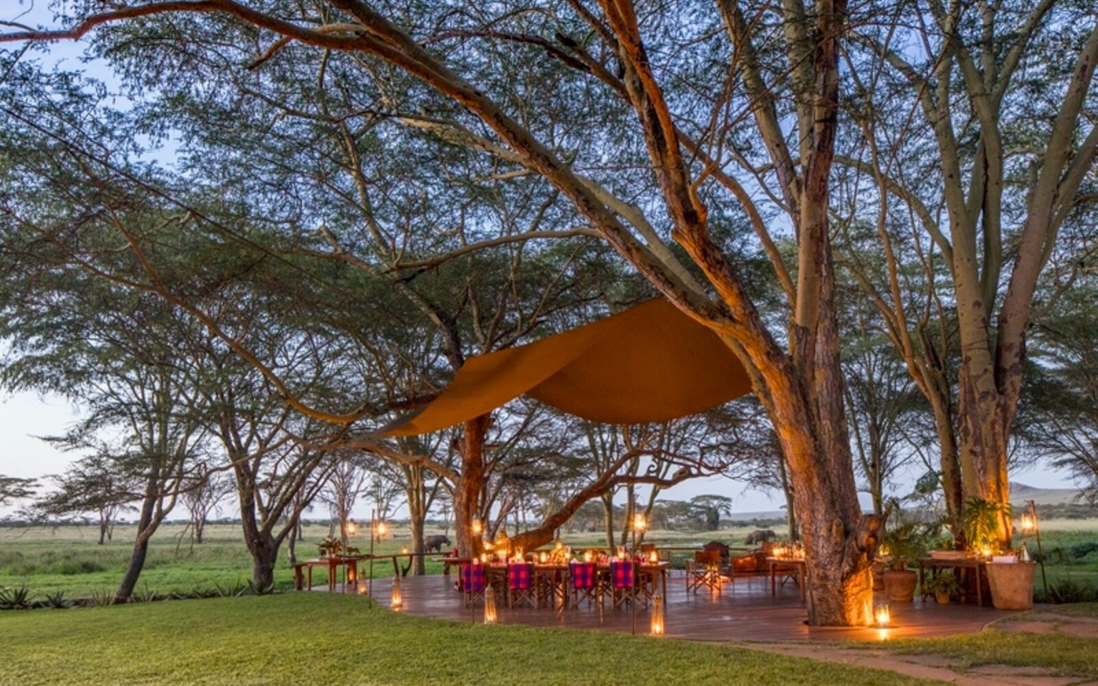 Dine outdoors at Sirikoi in Kenya with lantern-lit tables set beneath acacia trees as the savannah stretches out around you.