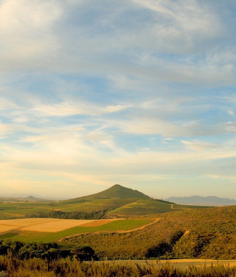 The rolling vineyards around Stellenbosch in South Africa’s Winelands, and the Garden Route’s coastline of cliffs, forests and beaches stretching along the southern Cape.