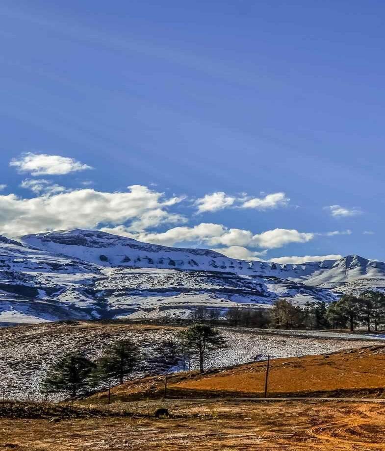 Snow-dusted peaks in South Africa’s Drakensberg Mountains during winter, and an intimate moment with lions resting in Madikwe Game Reserve.