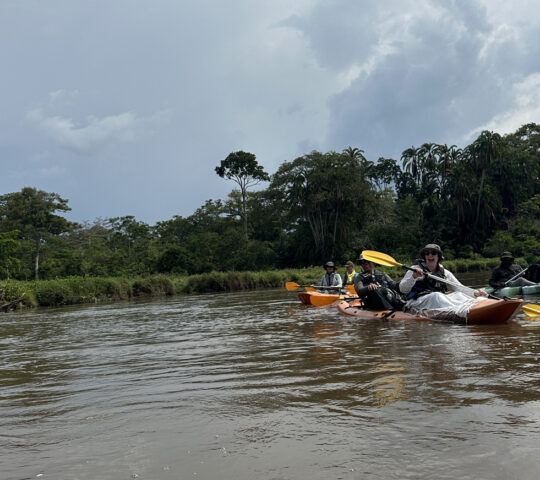 Kayak through the waterways