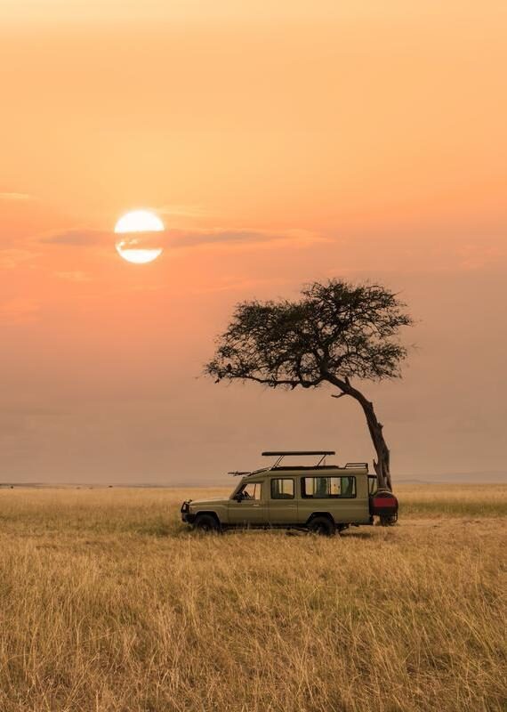 A safari vehicle next to a single tree in savannah grasslands at sunset