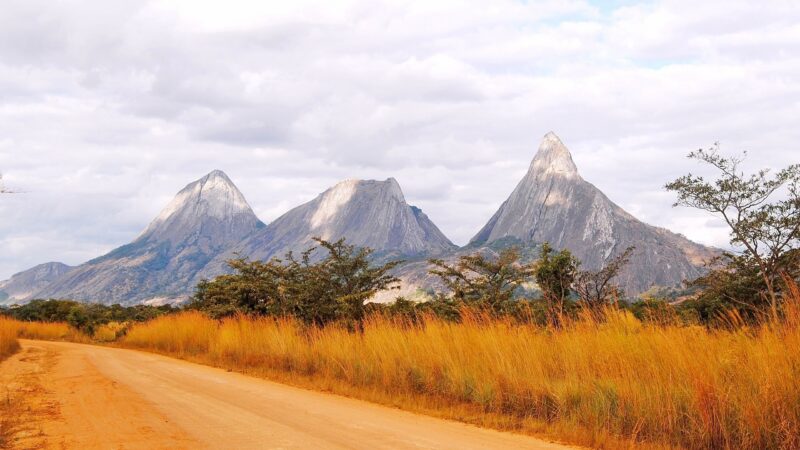 A dirt road winds through tall orange grass toward three dramatic, sharp-peaked granite mountains.