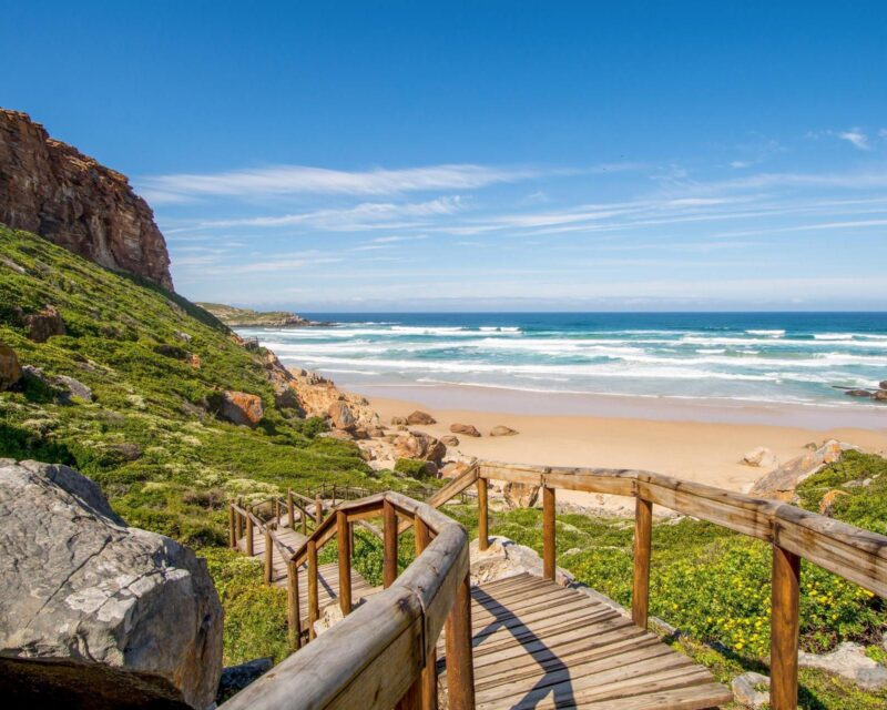 Wooden stairs descending a green hill toward a wide sandy beach and turquoise ocean under a bright blue sky.