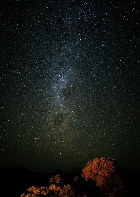 A vertical shot of the starry night sky showing the Milky Way galaxy over dark trees.