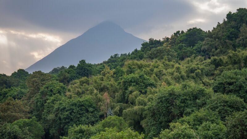 A tall, grey volcanic mountain peak partially obscured by clouds behind a lush, green forest canopy.
