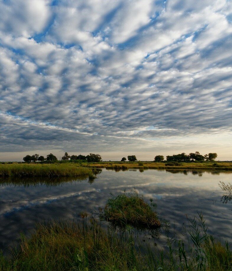 Big skies and mirror-like channels in Botswana’s Okavango Delta and a close-up zebra in the Makgadikgadi Pans during the migration.