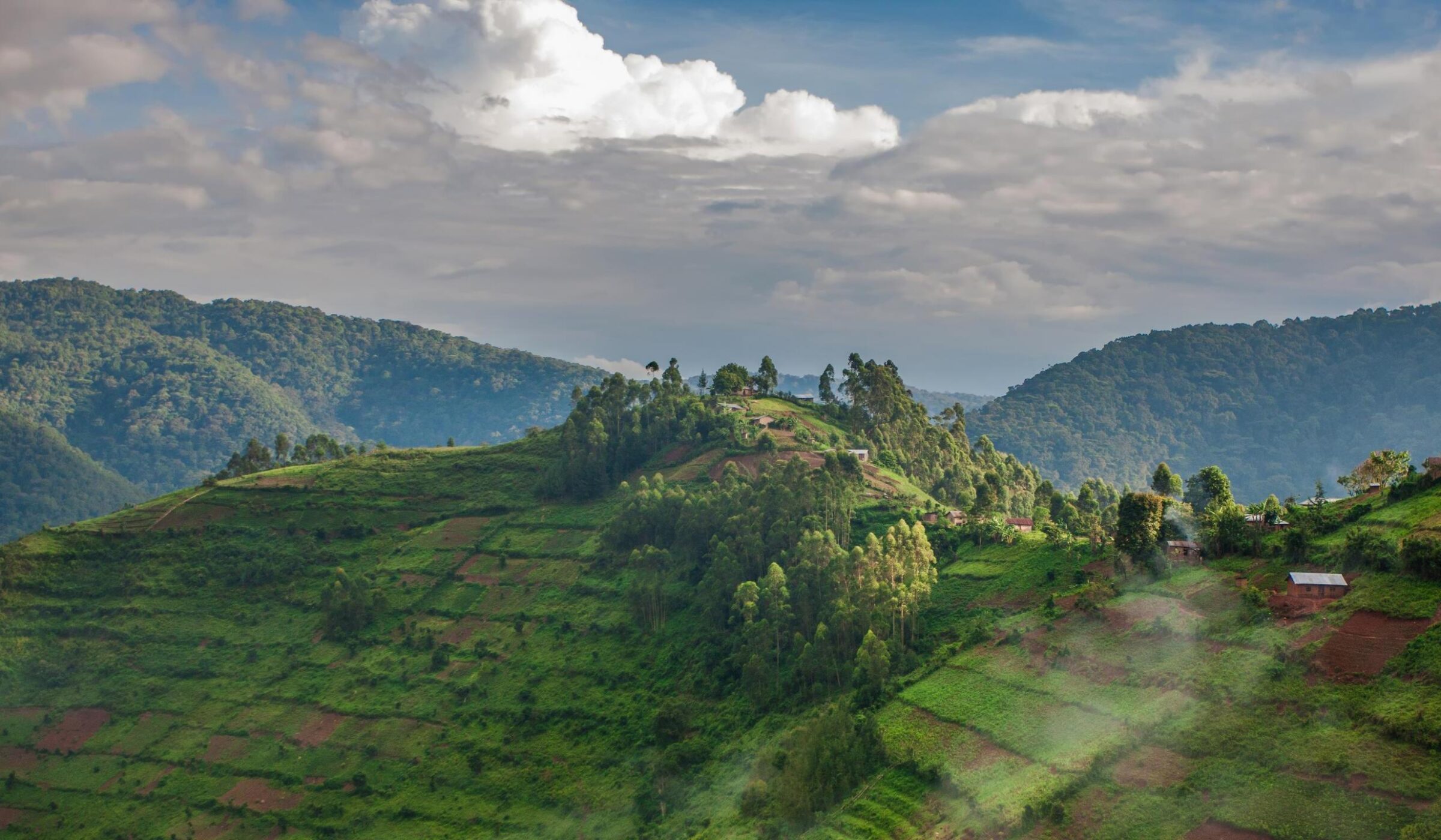 Lush green terraced hillsides with scattered trees and small houses under a cloudy blue sky in Bwindi Impenetrable Forest.
