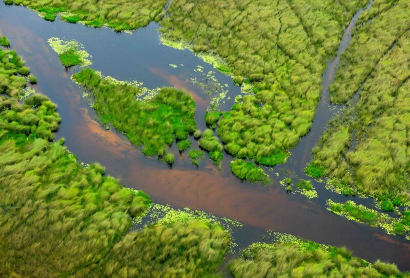 Aerial landscape in Okavango delta, Botswana. Lakes and rivers, view from airplane. Green vegetation in South Africa. Trees with water in rainy season.