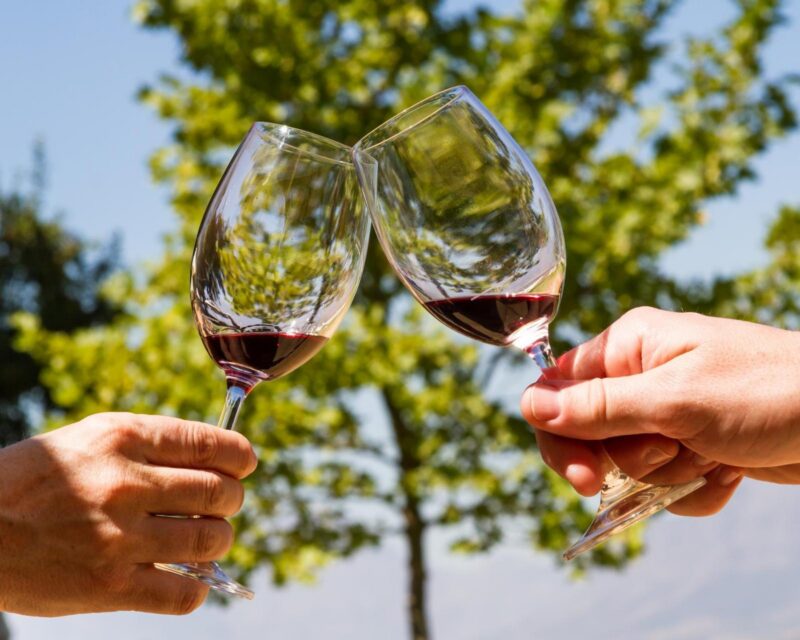 Two people clinking wine glasses in a toast during a wine tasting in South Africa's Winelands
