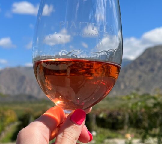 Taste high-altitude wines in Andean vineyards known for their intense fruit