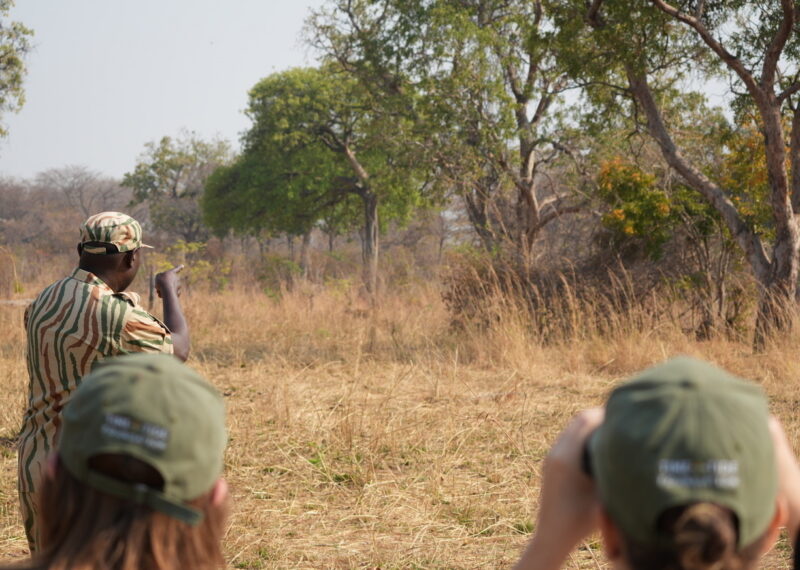 Two people on a walking safari in Africa with a guide pointing out wildlife in the distance