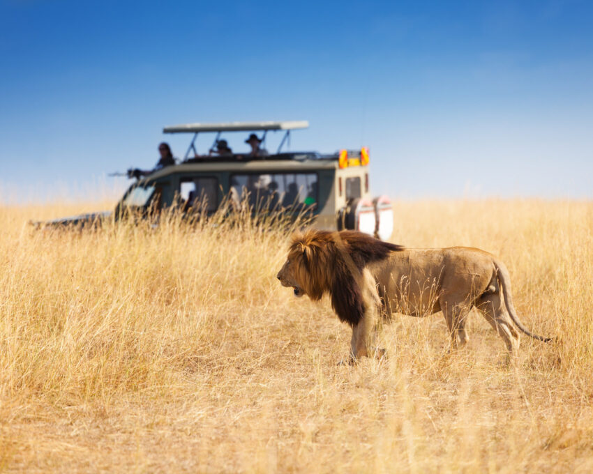 Activities in the Masai Mara National Reserve
