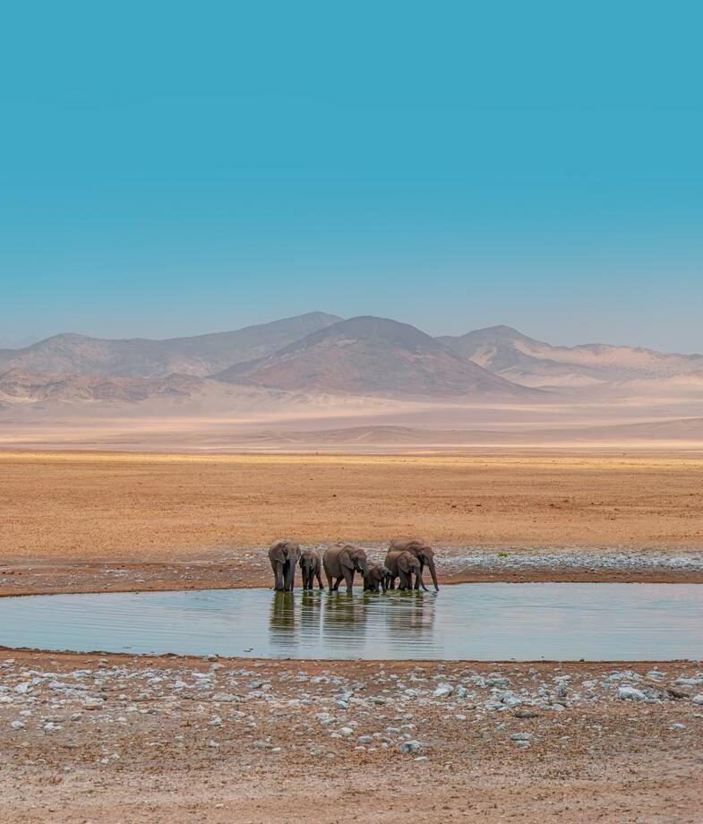 A herd of elephants gathering to drink at a watering hole in Etosha National Park, and the immense cascade of Victoria Falls, where rising mist can reveal a rainbow on a lucky day.