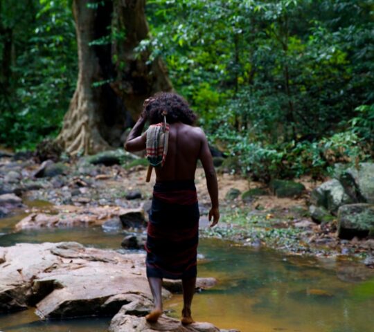 Walking through the jungle with a Veddha chief, learning to read animal tracks along a forest stream.