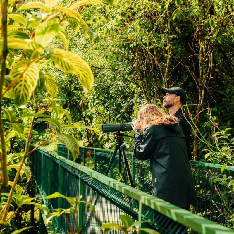 Two people on a walkway in a lush rainforest look through a telescope mounted on a tripod.