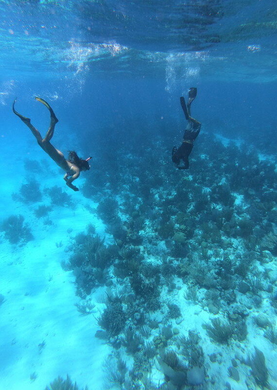 Two snorkelers diving deep underwater near a coral reef in clear turquoise ocean water.