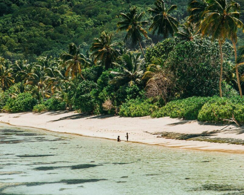 A tropical beach with clear turquoise water, white sand, and dense palm trees under a bright sky.