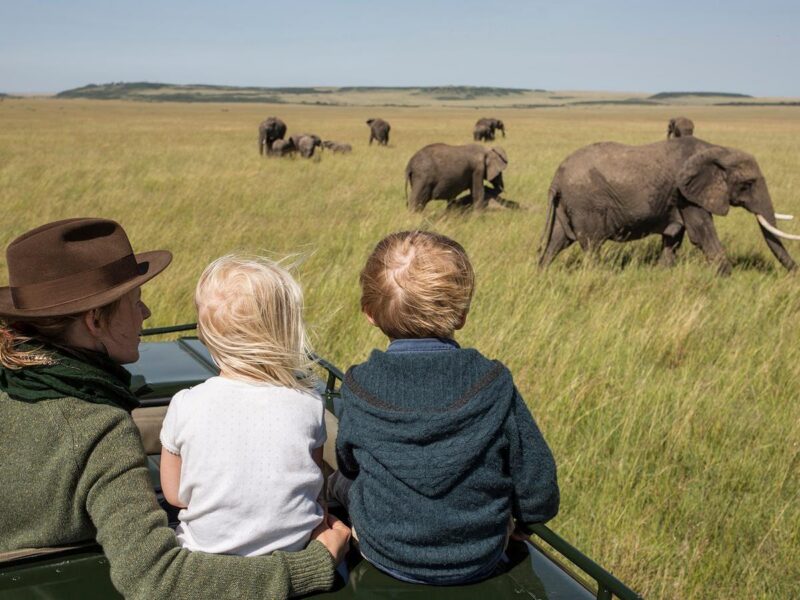 A woman and two children look out from a vehicle at a herd of elephants in an open grassy savannah.