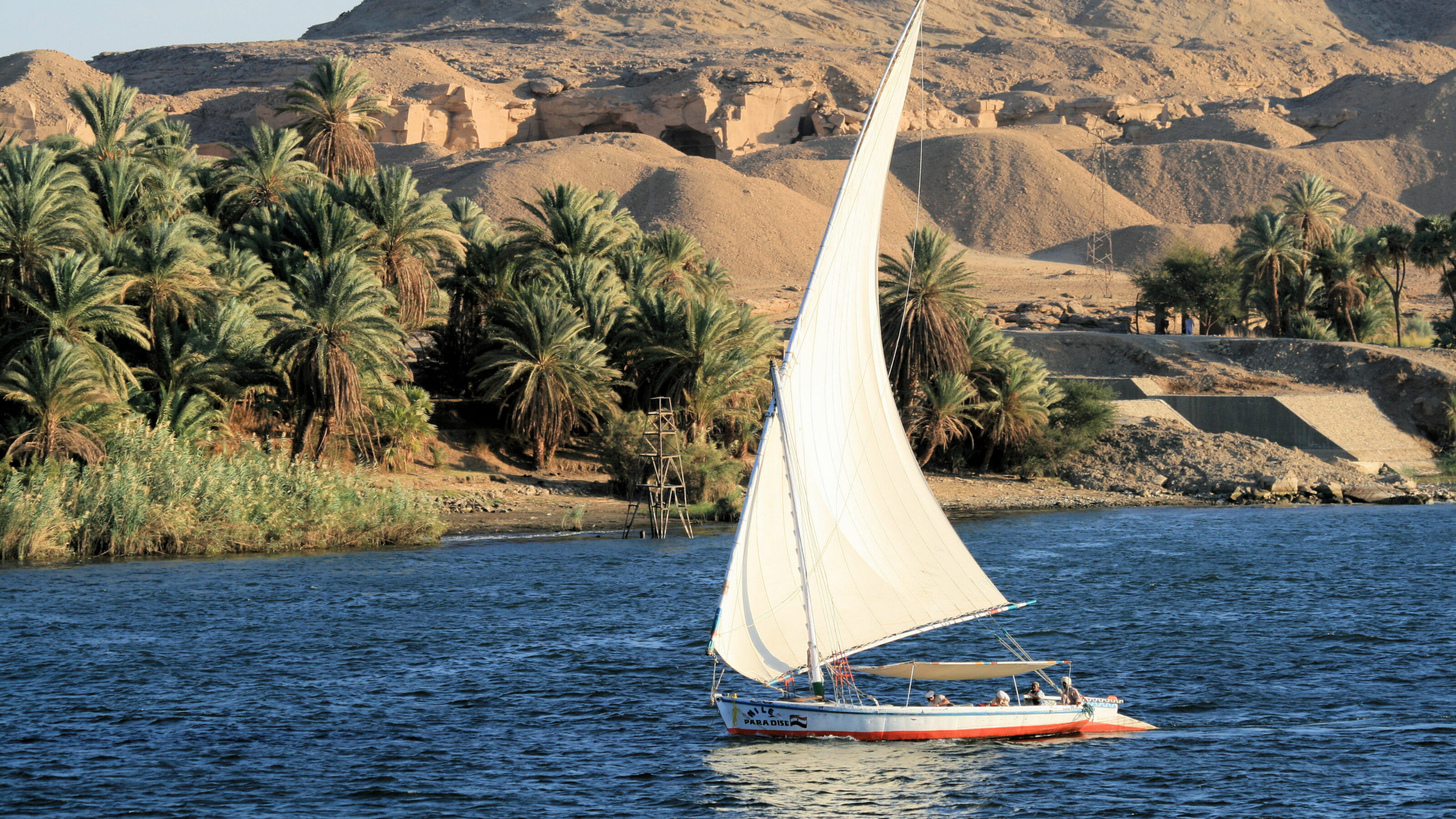 A white-sailed felucca boat sails on the Nile River past a lush palm grove and sandy Egyptian hills.