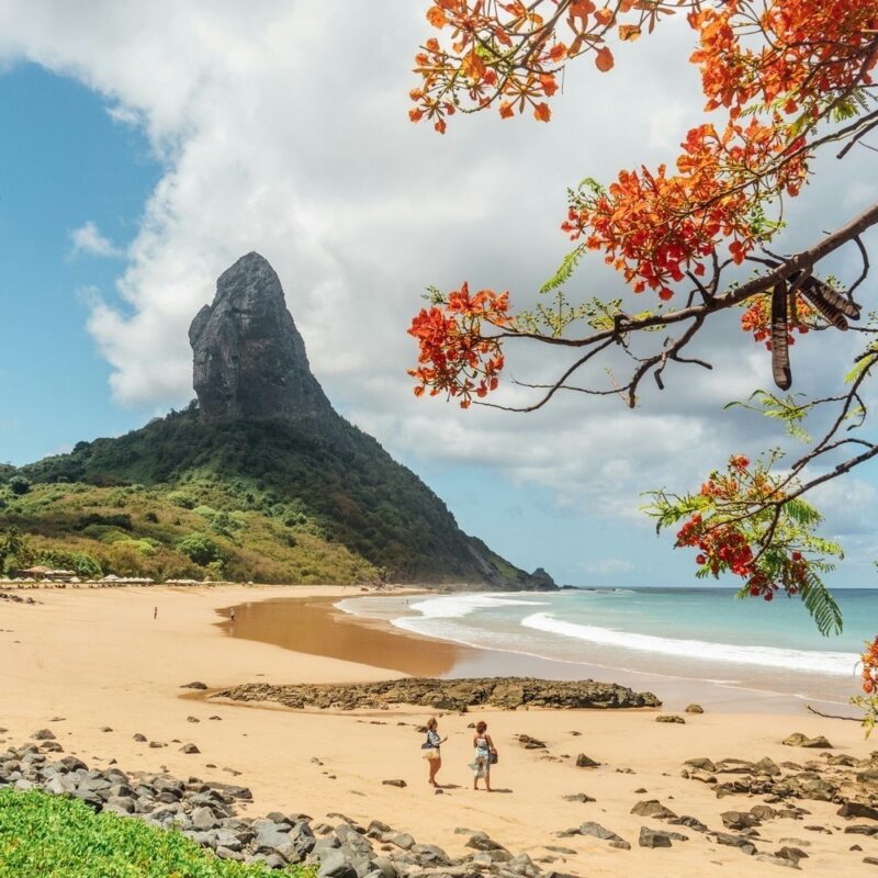 Tropical beach with a large rock peak and orange flowers in Fernando de Noronha, Brazil.