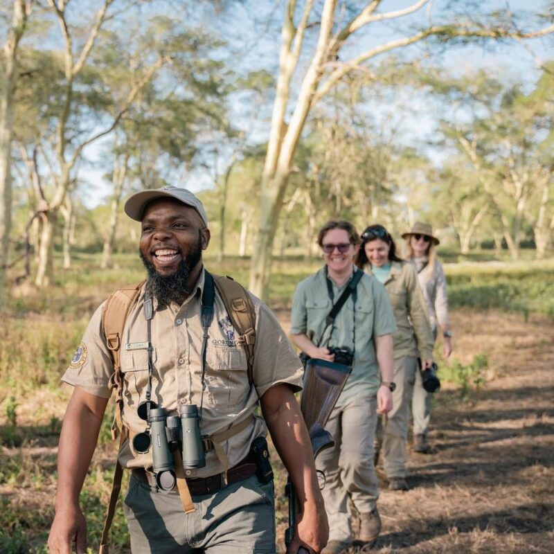 A smiling safari guide with binoculars leads three tourists on a guided walk in Gorongosa National Park.