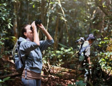 Birdwatching Safaris