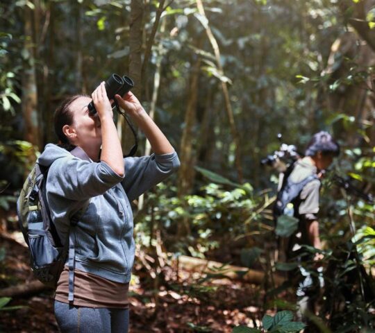 Your guide will help you to spot all kinds of wildlife