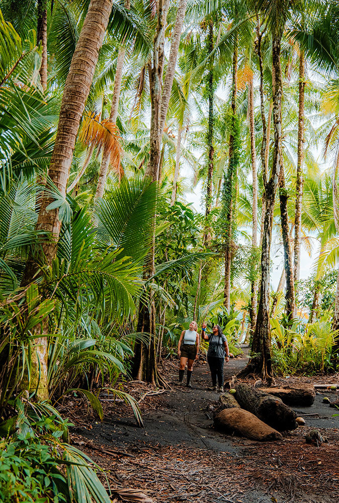 A women with a guide walking through a jungle pathway with tall trees looking up.