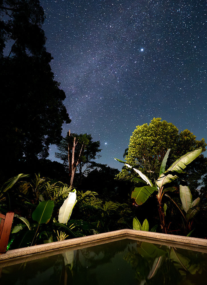 a starry night sky over some tropical trees and a swimming pool.