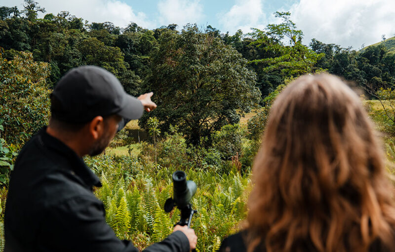 Male guide holding a monoscope pointing at a tree for a female guest to look at in Costa Rica.