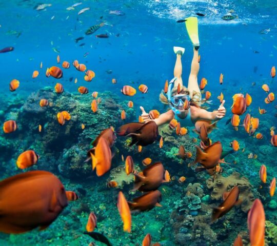 Explore an underwater world in Ang Thong Marine Park