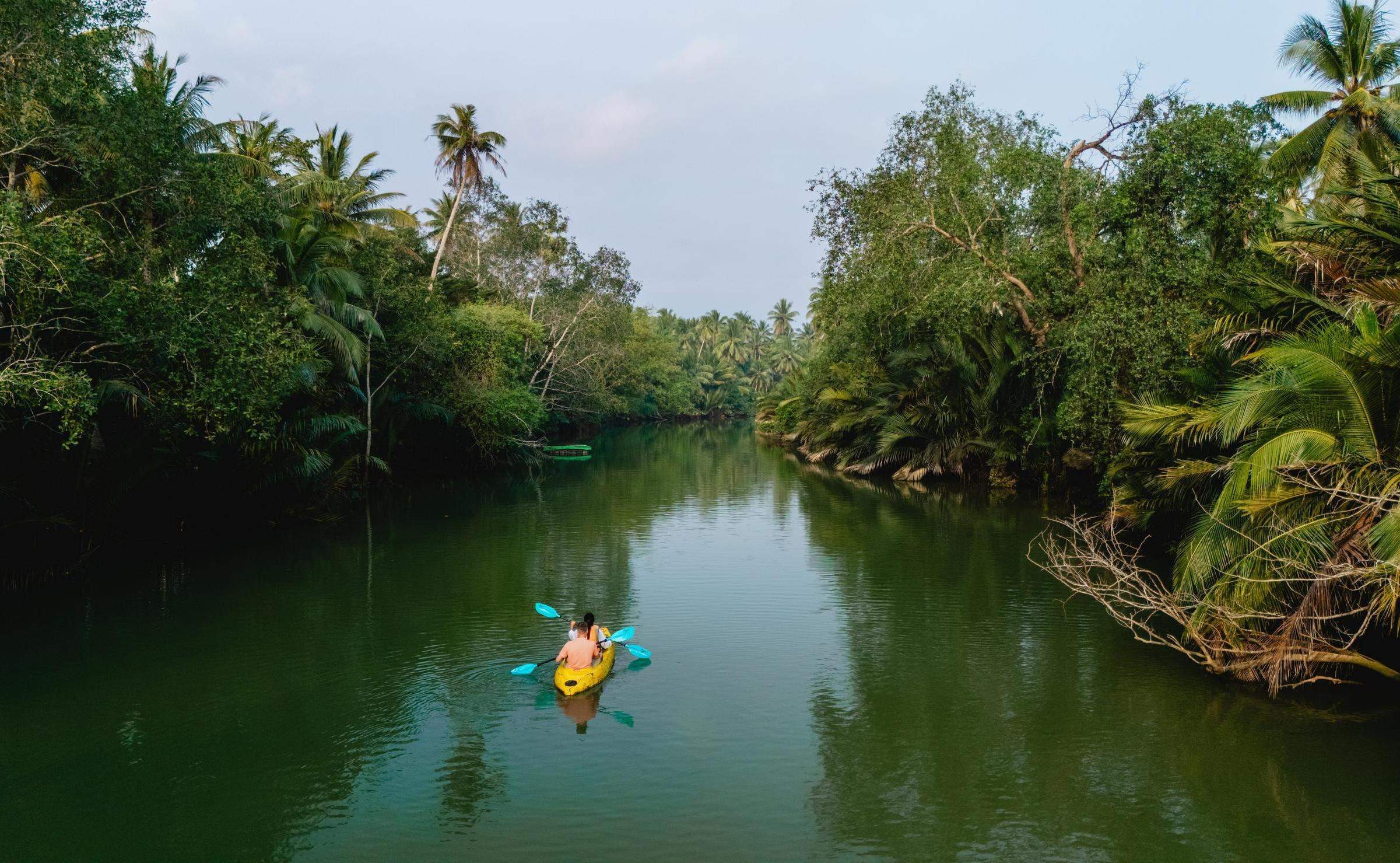 A couple in a yellow boat kayaking through mangrove forests in Thailand