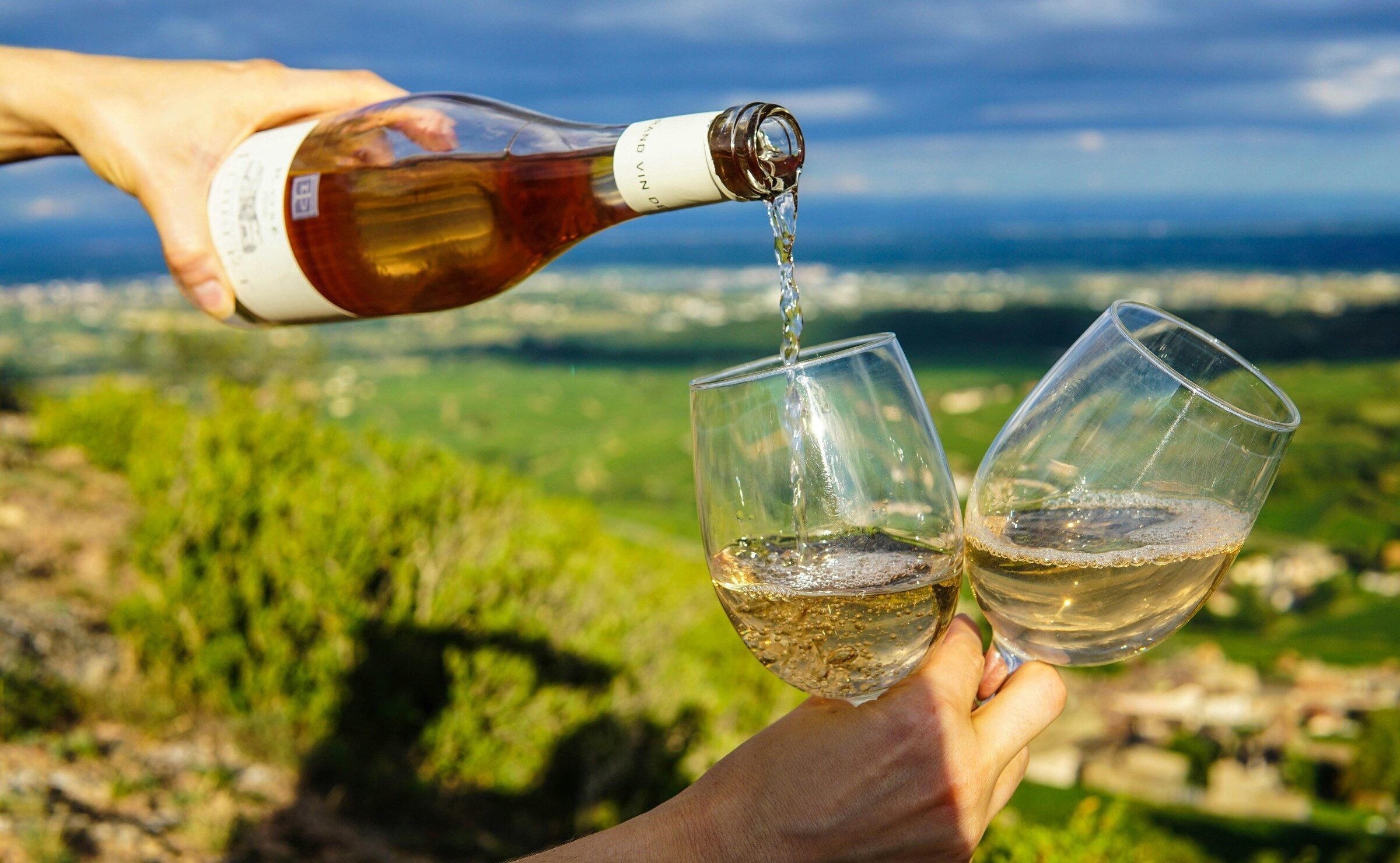 Pouring rose into two glasses in a vineyard in Provence
