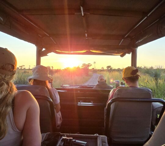 Late afternoon light across the Delta floodplains during a game drive in a private concession