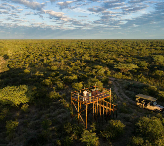 The Kalahari opening out around Dinaka Camp from an elevated viewpoint above the bush
