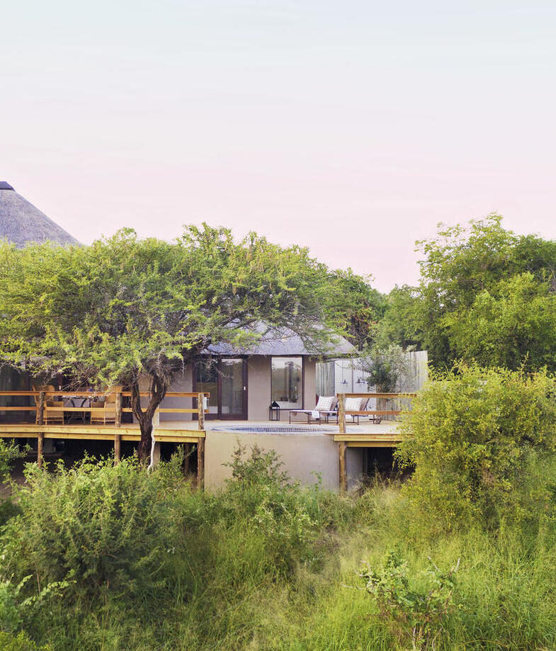 The firelit family lounge at Royal Malewane Waterside House, and one of the private safari suites with a deck and plunge pool at Pioneer Camp.