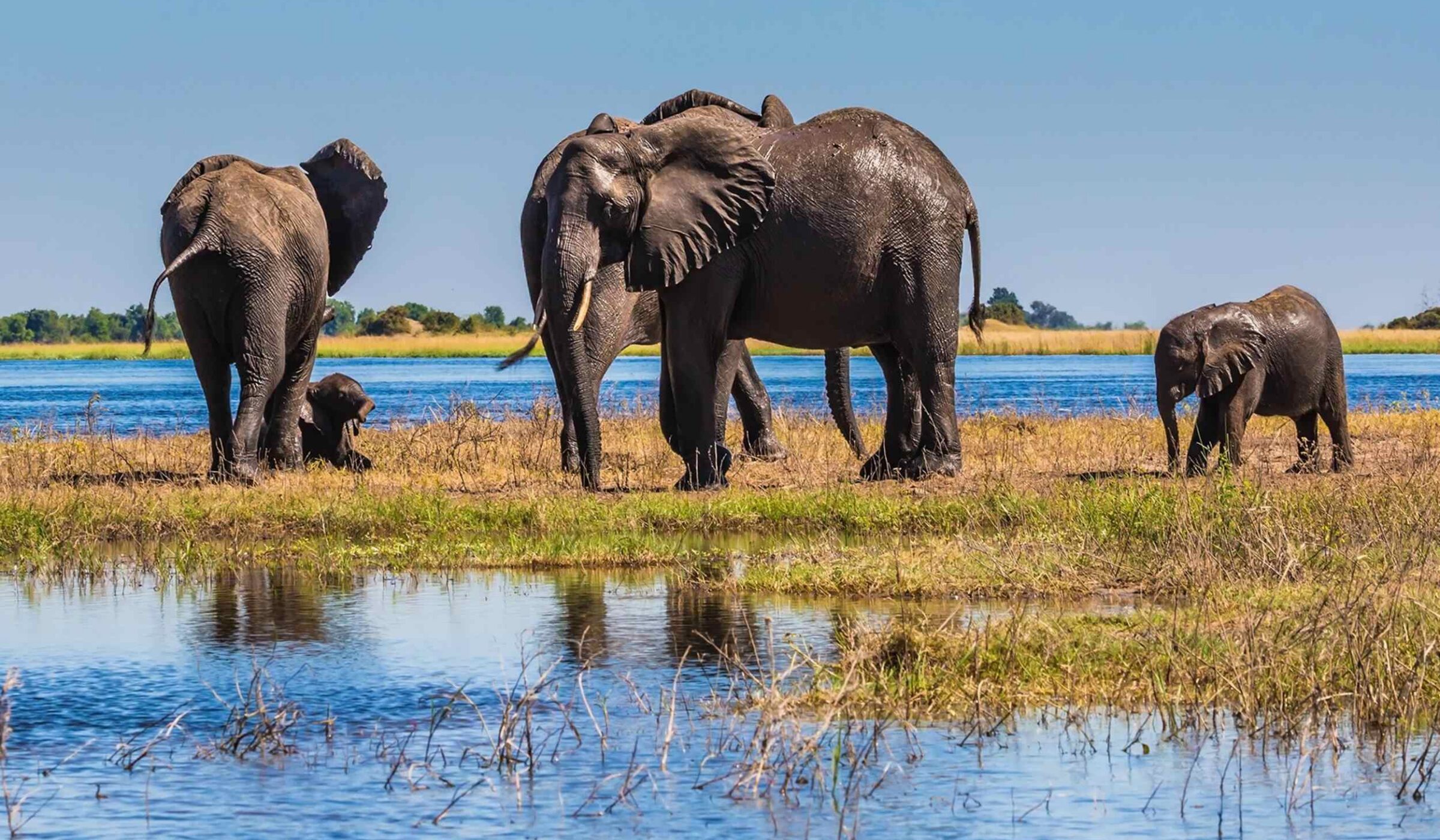 An off-road safari in Linyanti