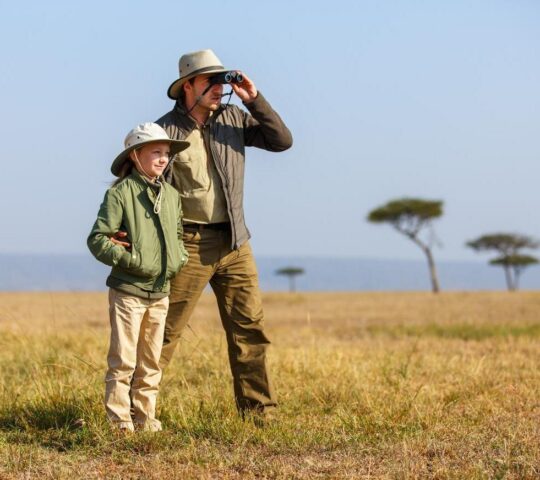 Scan the skies for endemic and migratory birds