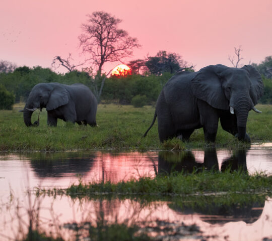 End the day with scenic sundowners