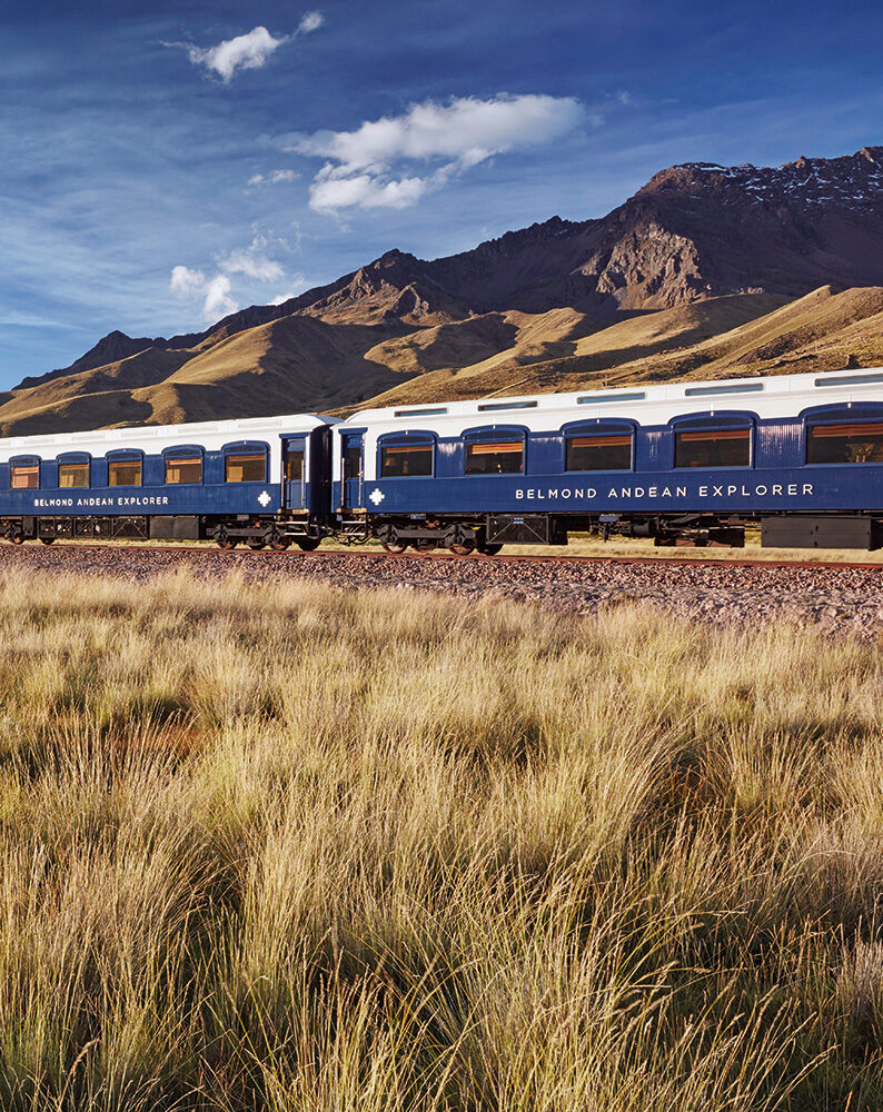 A blue train crossing a yellow grassy field during luxury Peru train trips.