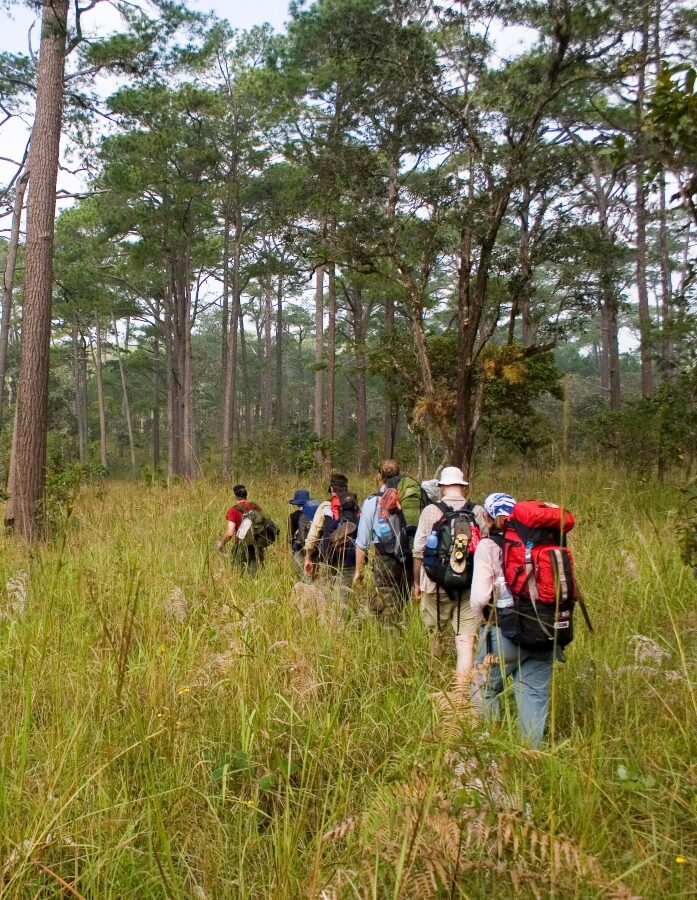 A guided trek through the Cardamom Mountains