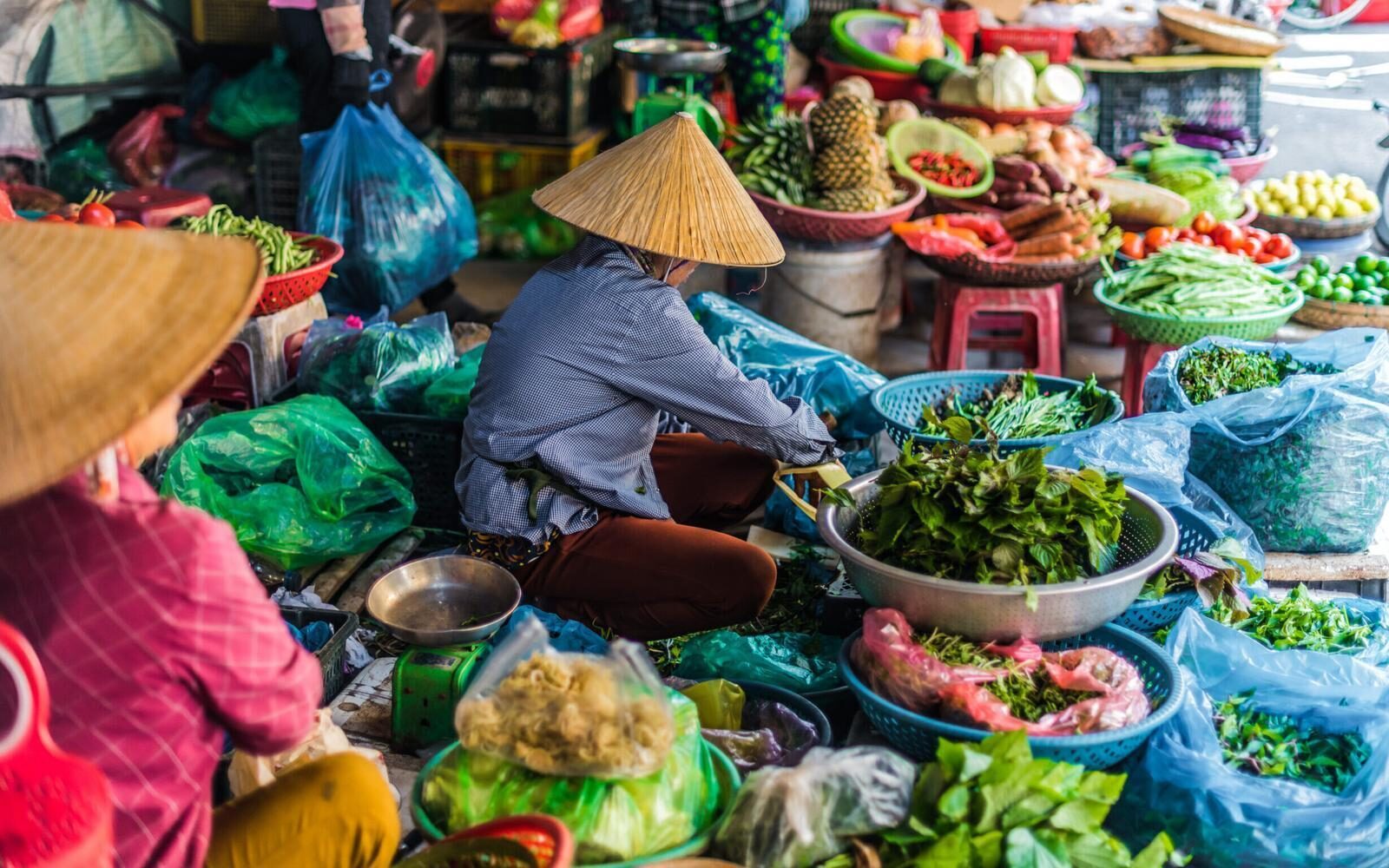 Wander through a traditional food market in Hoi An, Vietnam.