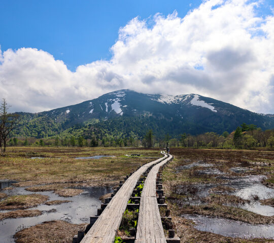 Hike through Nikko's marshland