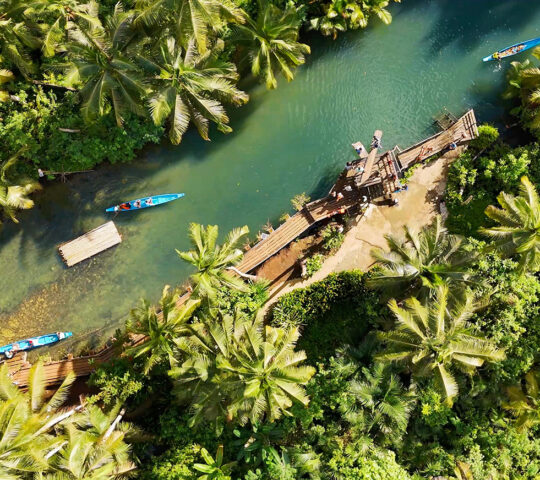 Kayak through the mangroves in Siargao