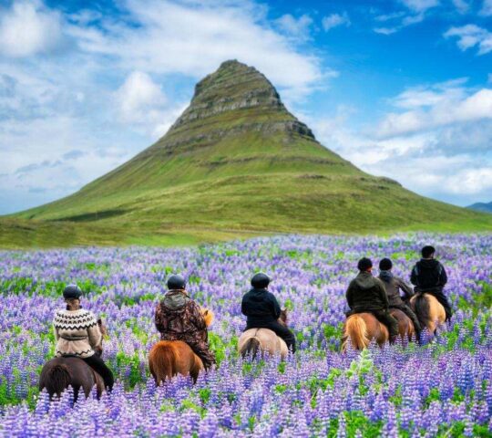 Ride Icelandic horses through beautiful landscapes