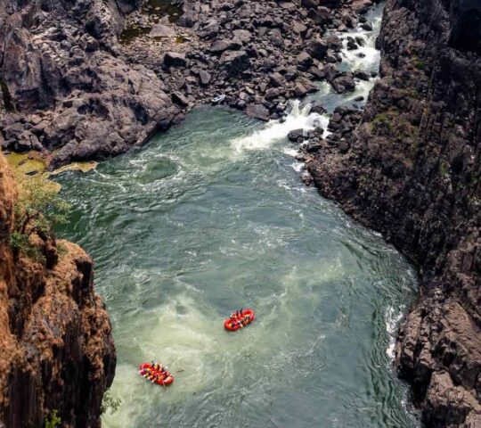 Navigate the rapids on a white water rafting trip