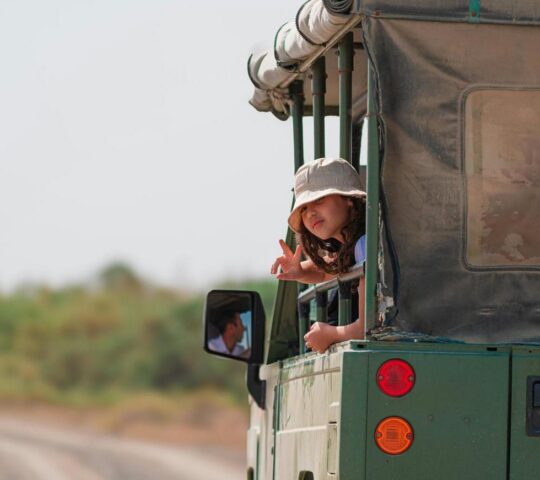 Spot the Big Five on a game drive