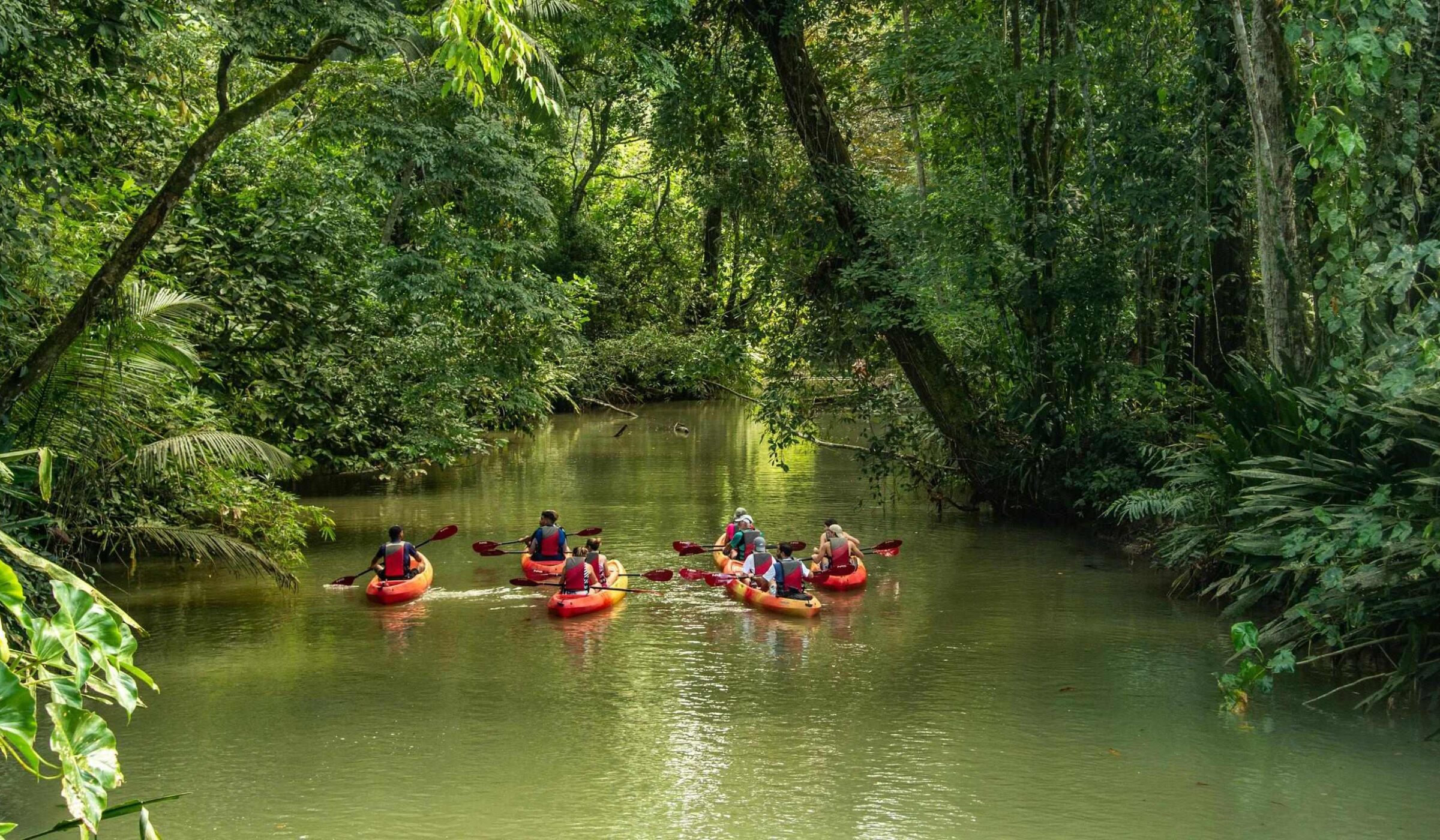 A group of people kayaking down a river in the jungle